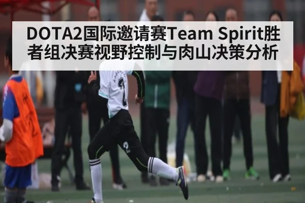 DOTA2国际邀请赛Team Spirit胜者组决赛视野控制与肉山决策分析